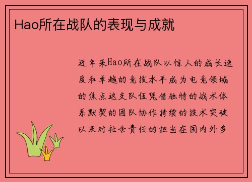 Hao所在战队的表现与成就
