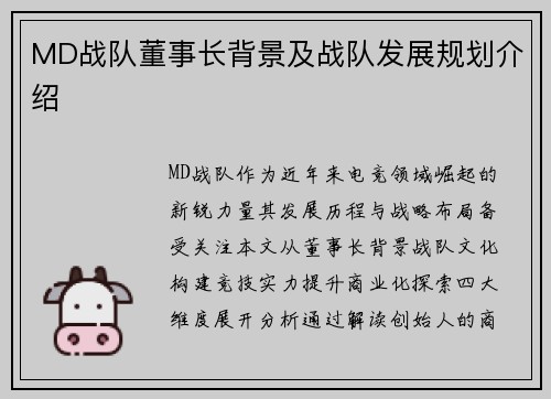 MD战队董事长背景及战队发展规划介绍